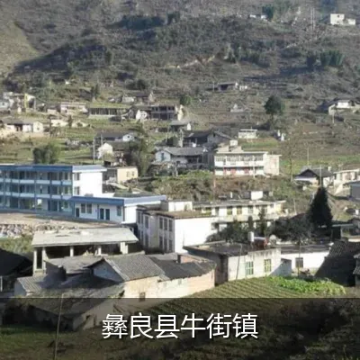 彝良县牛街镇