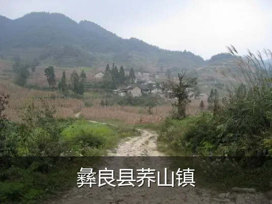 彝良县荞山镇