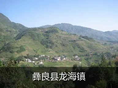 彝良县龙海镇