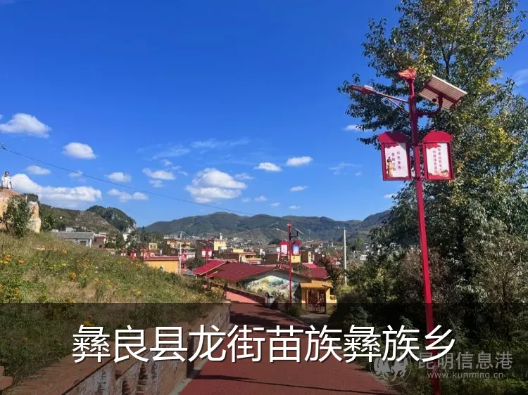 彝良县龙街苗族彝族乡
